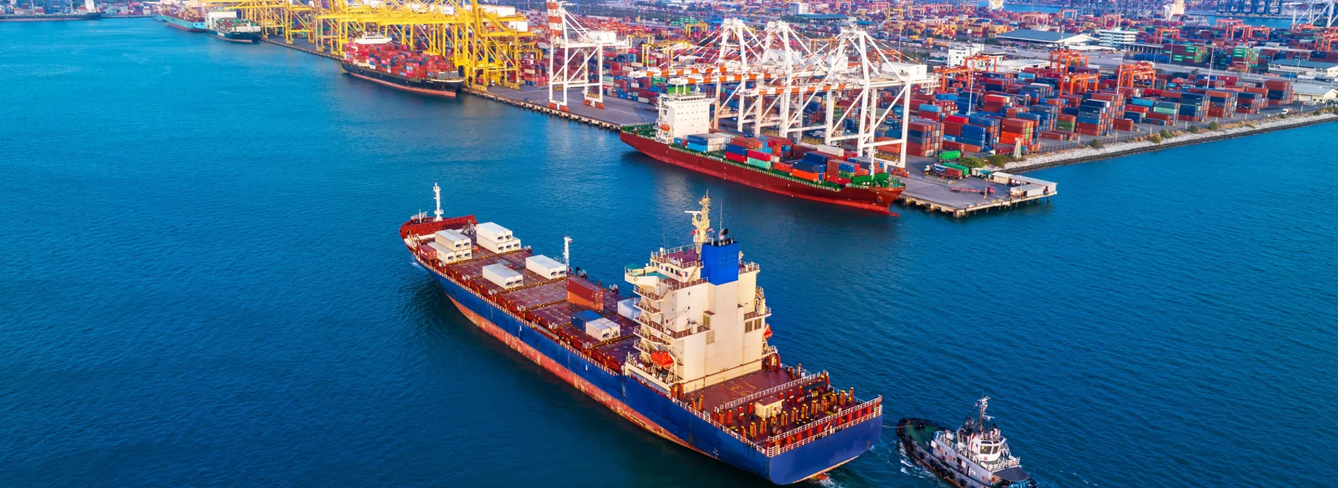 Cargo ships berthed alongside an industrial export terminal